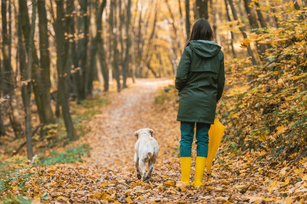 20 Signs Your Spirit Guide Is Trying To Contact You 24 issues