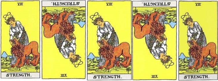 Love Tarot and The Strength Card